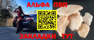 молекула духа Кингисепп