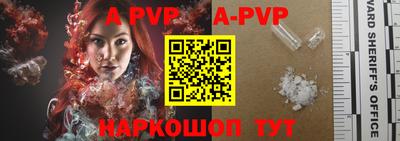 молекула духа Кингисепп