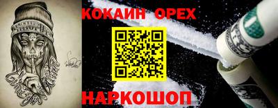 молекула духа Кингисепп