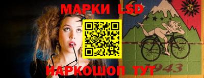 молекула духа Кингисепп