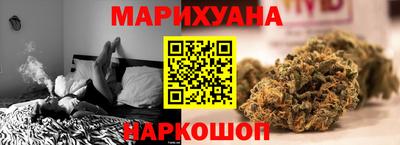 молекула духа Кингисепп