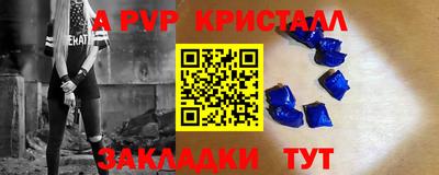 молекула духа Кингисепп