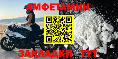 молекула духа Кингисепп