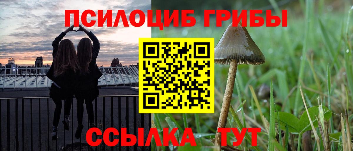 Стерлитамак  Псилоцибиновые грибы MAGIC MUSHROOMS  закладка  Вход с VPN 